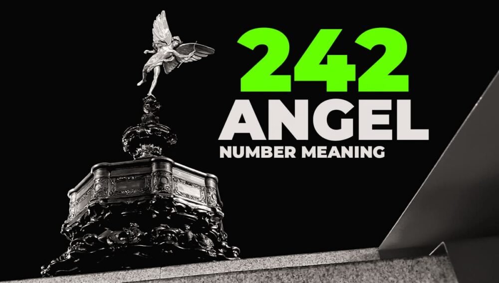 242 angel number