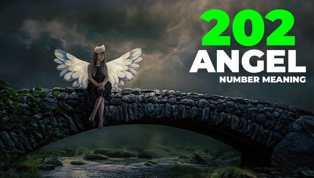 202 Angel Number