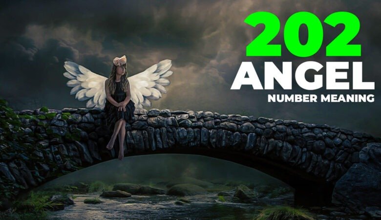 202 Angel Number