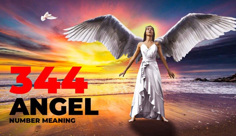 344 angel number