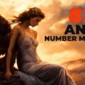 828 Angel number