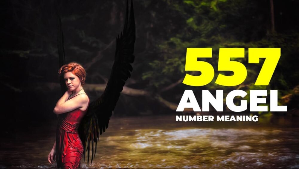 557 Angel Number