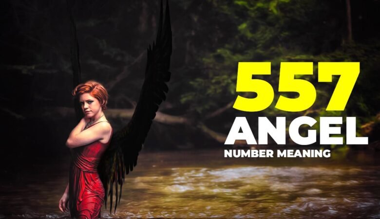 557 Angel Number