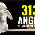 313 angel number