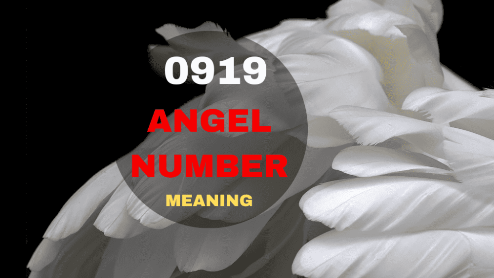 0919 angel number