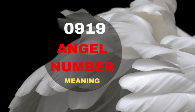 0919 angel number