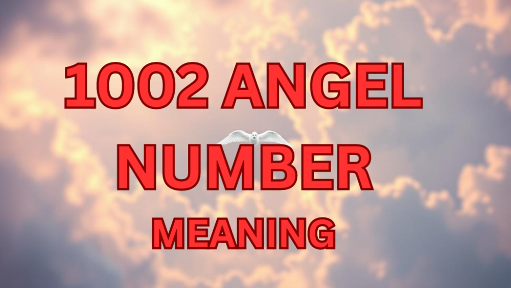 1002 angel number