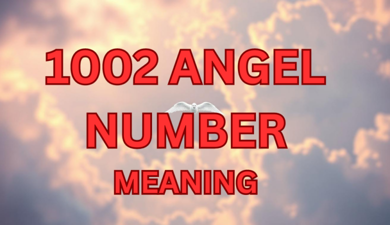 1002 angel number