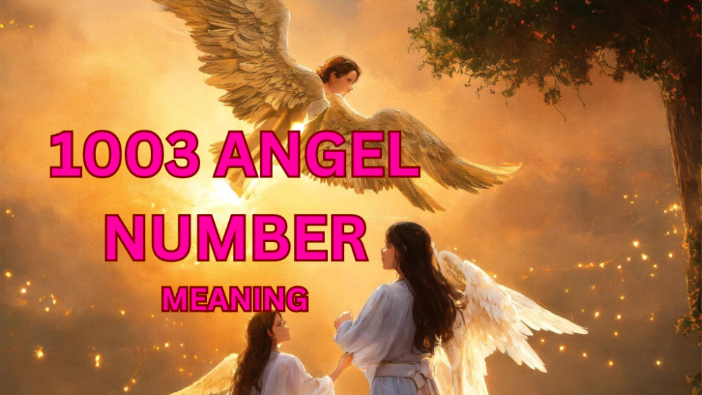 1003 angel number