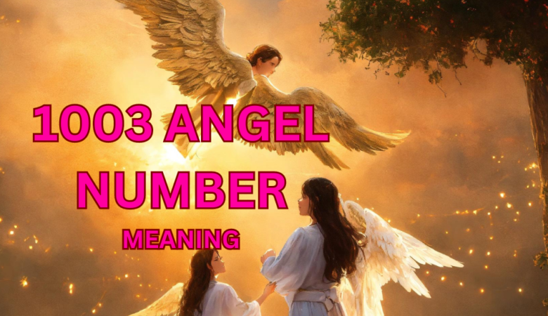 1003 angel number