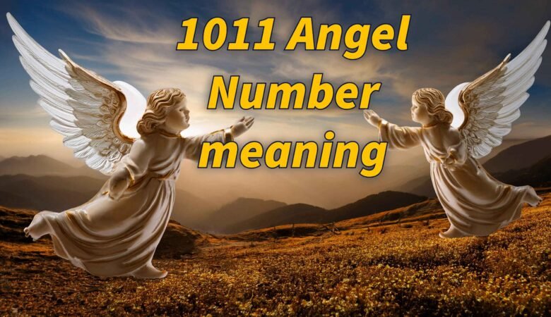 1011 angel number