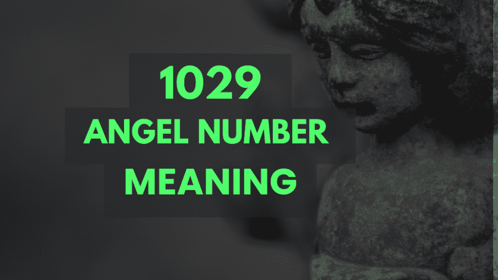 1029 angel number