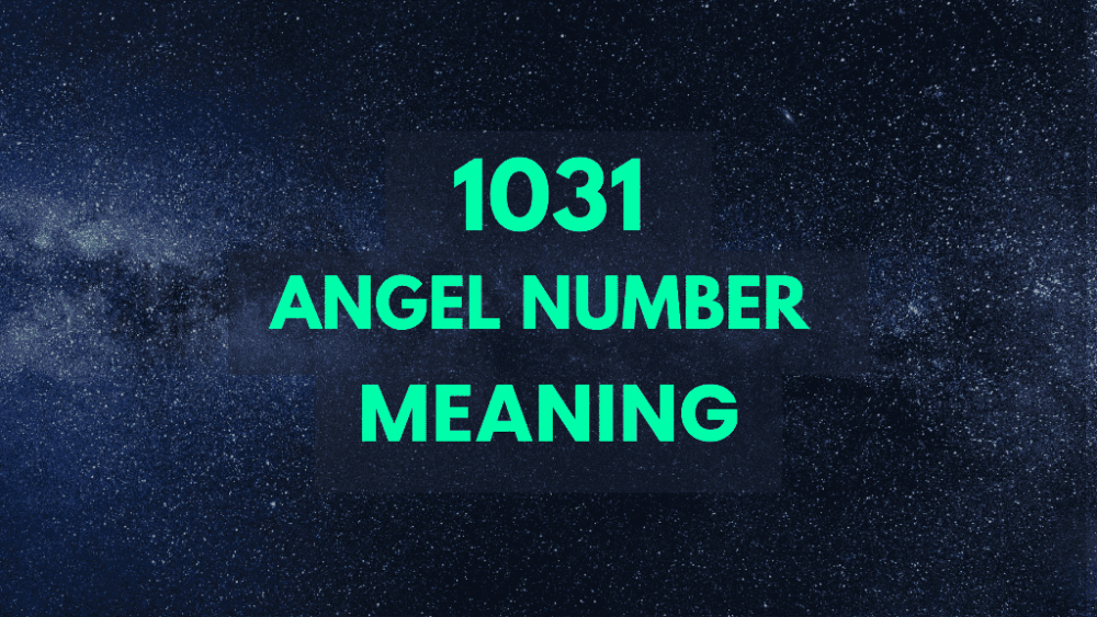 1031 angel number