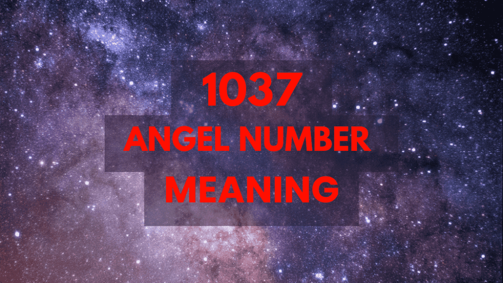 1037 angel number