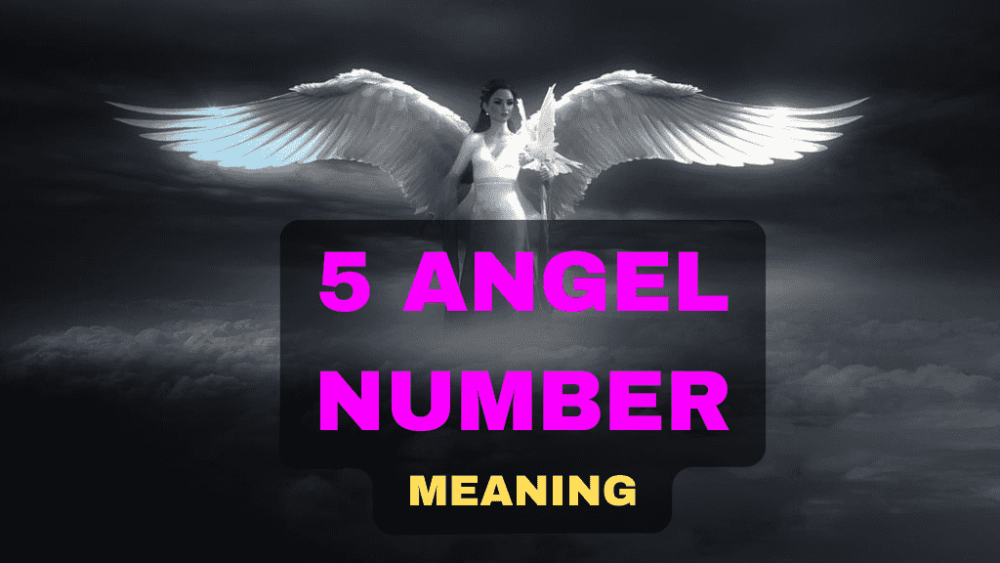 angel number 5