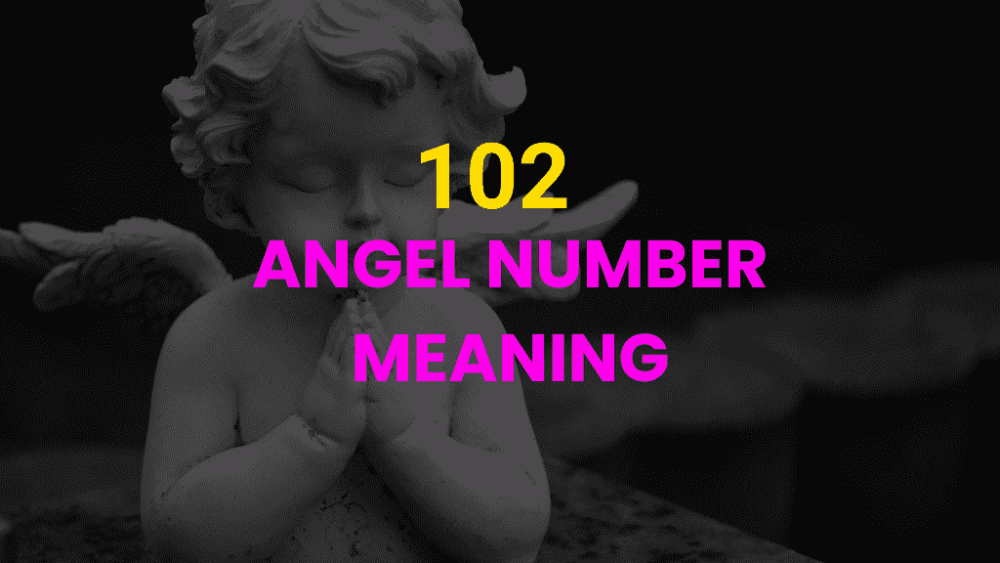 102 Angel Number