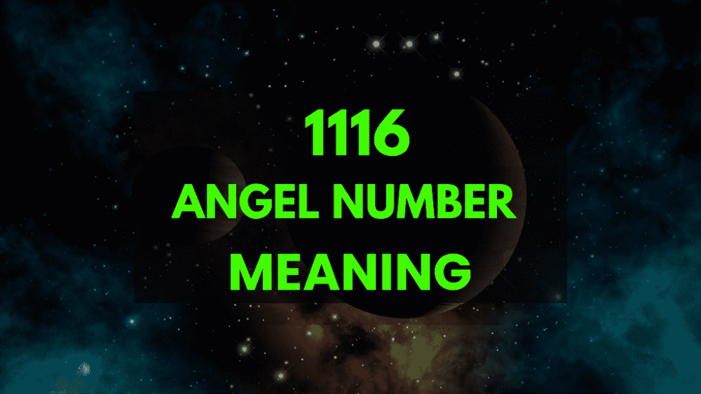 1116 angel number