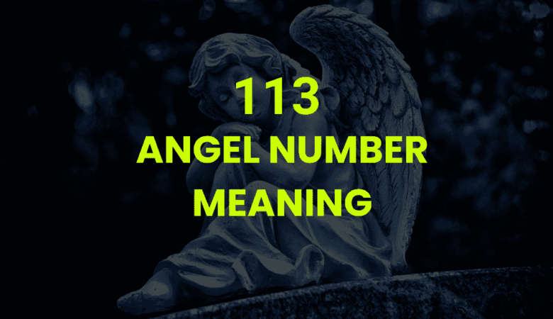 113 angel number