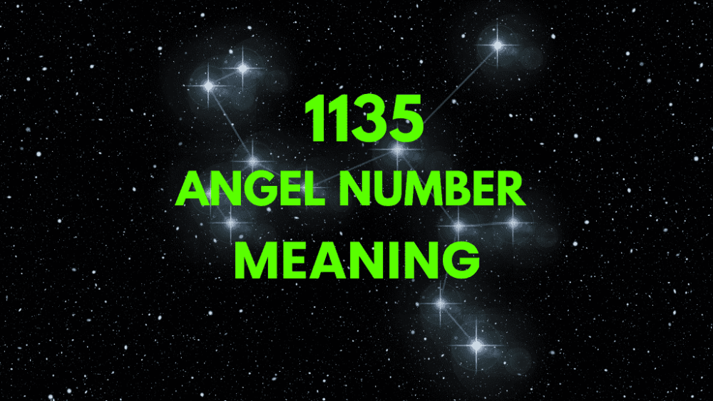 1135 angel number