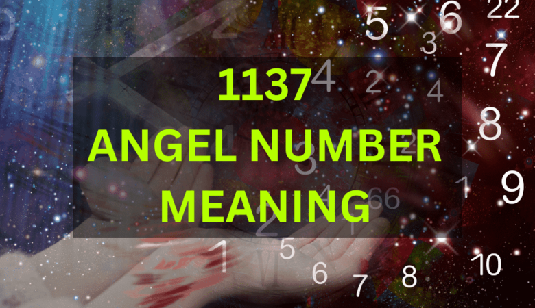 1137 angel number