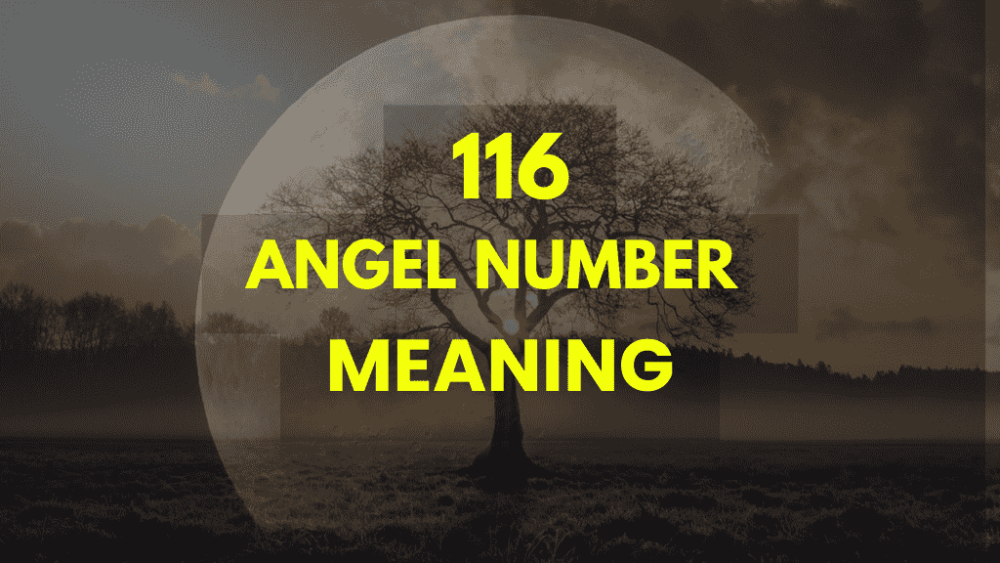 116 Angel Number