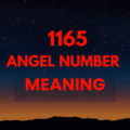 1165 angel number