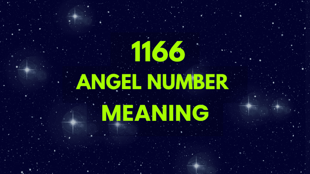 1166 Angel Number