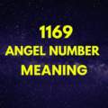 1169 angel number