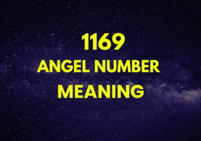 1169 angel number