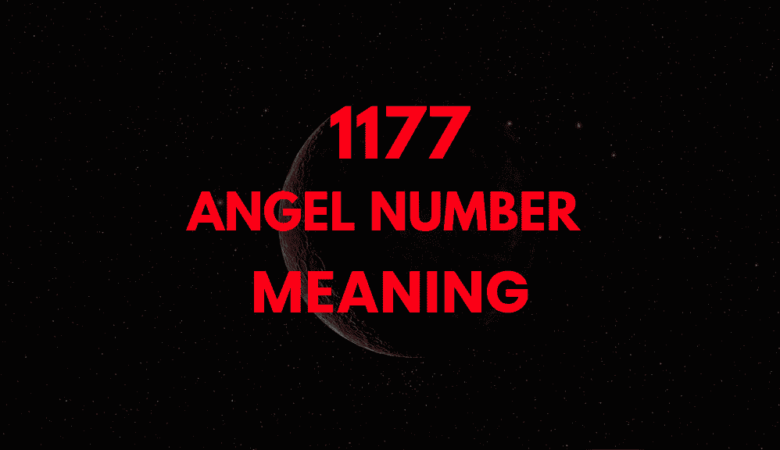 1177 angel number