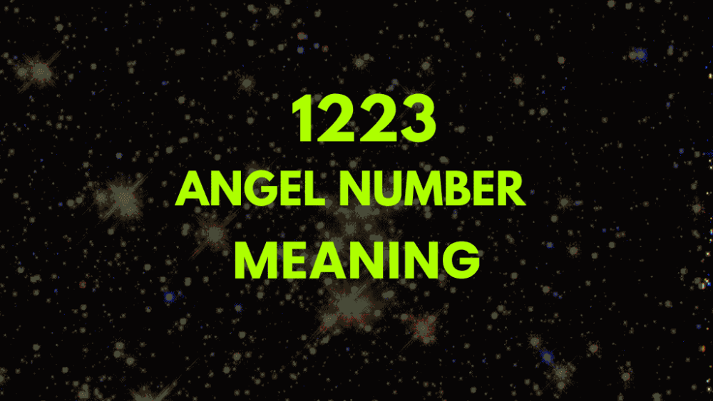 1223 angel number