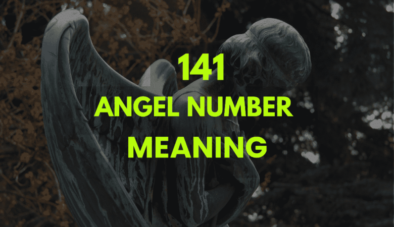 141 Angel Number