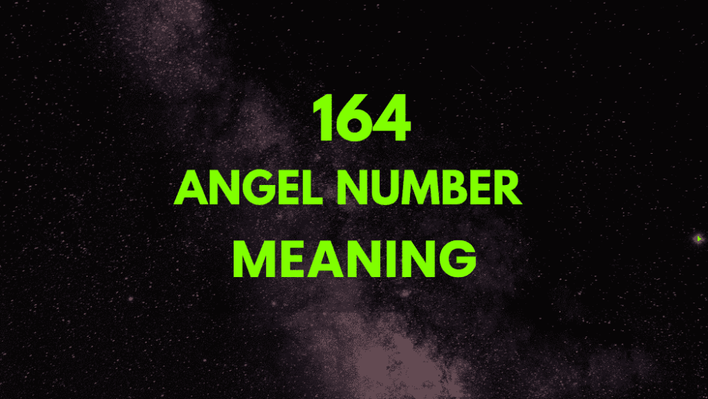 164 angel number