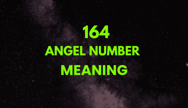 164 angel number