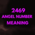 2469 angel number