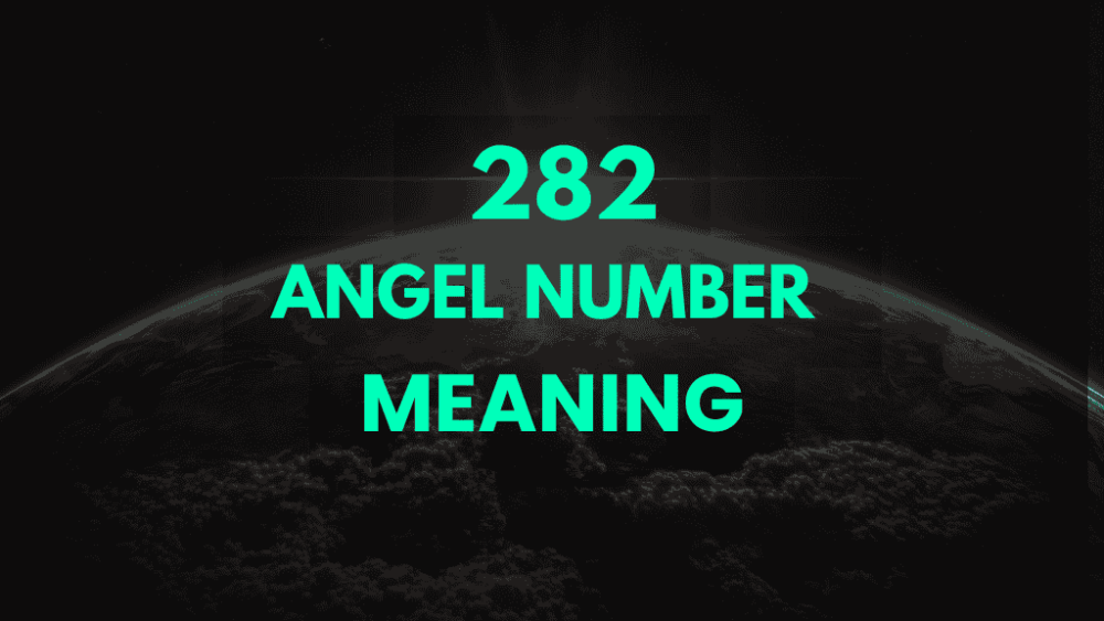 282 angel number