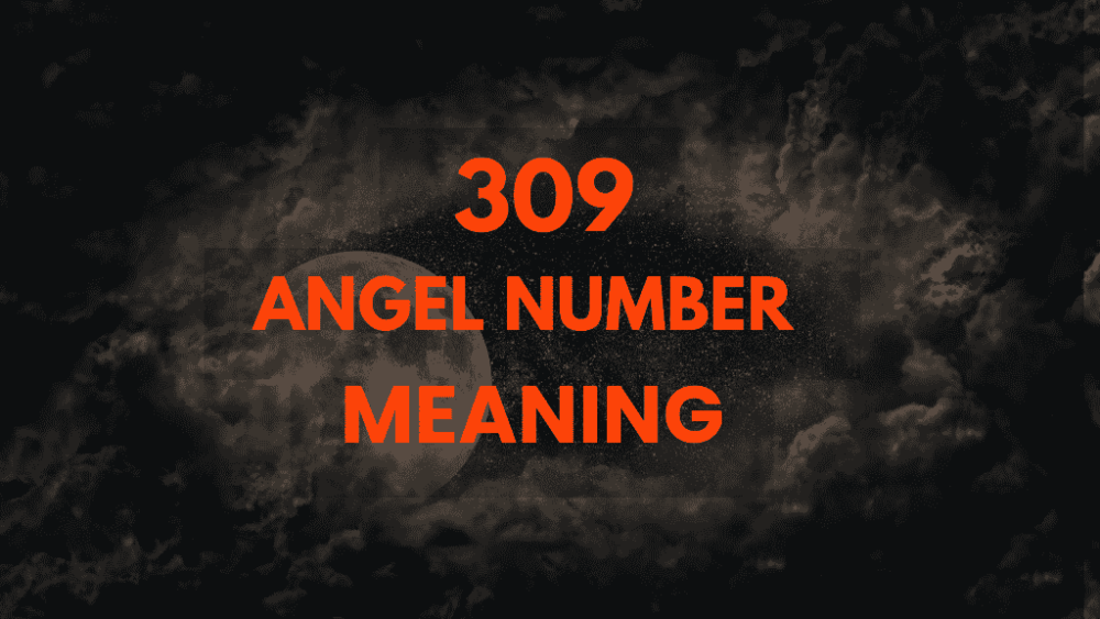 309 angel number