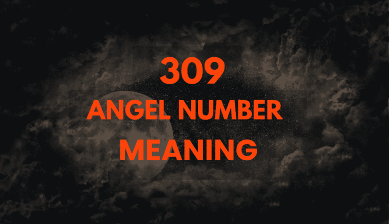 309 angel number