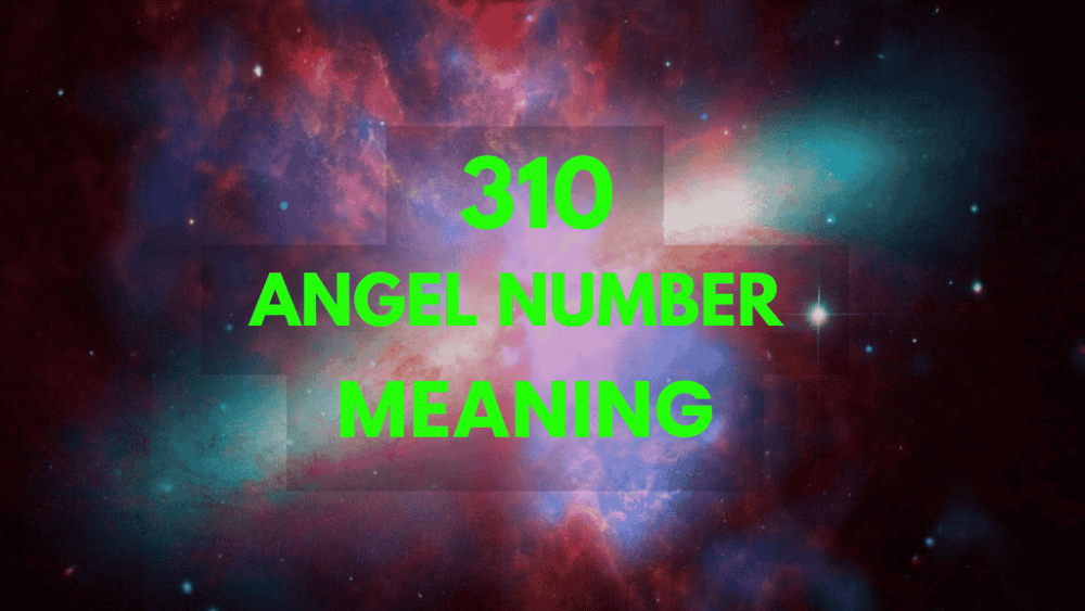 310 angel number