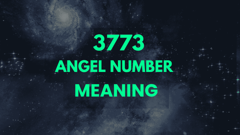 3773 angel number