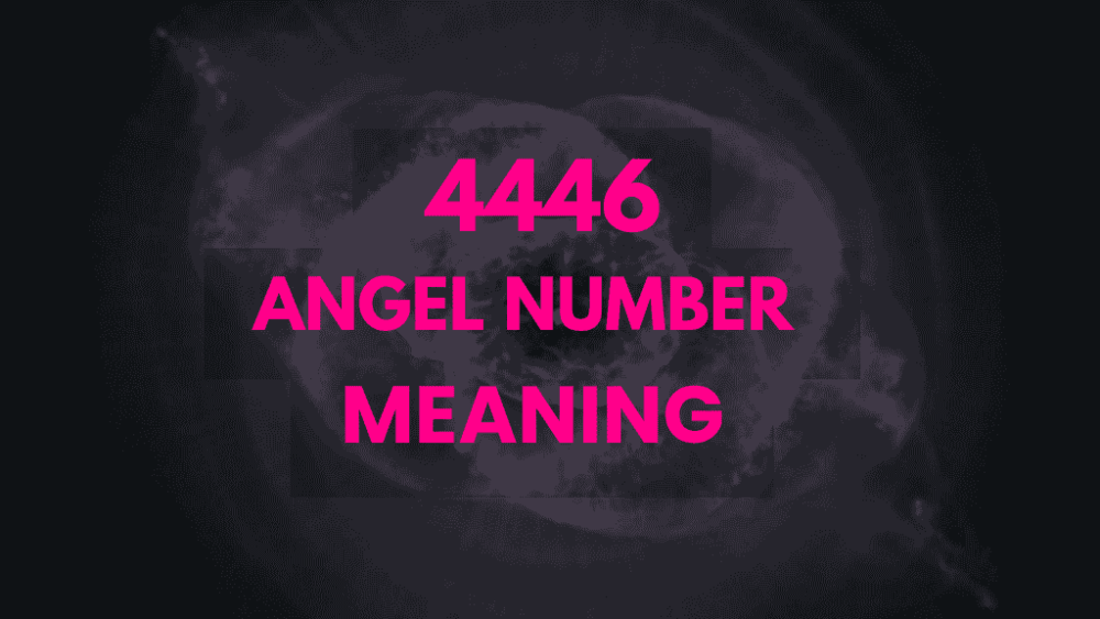 4446 angel number