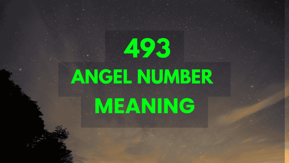 493 angel number