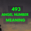 493 angel number