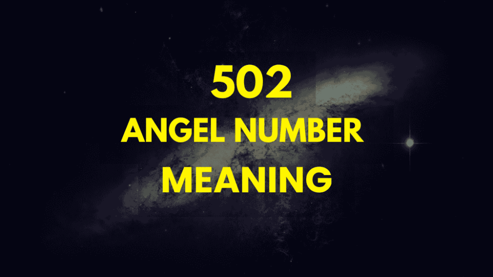 502 angel number