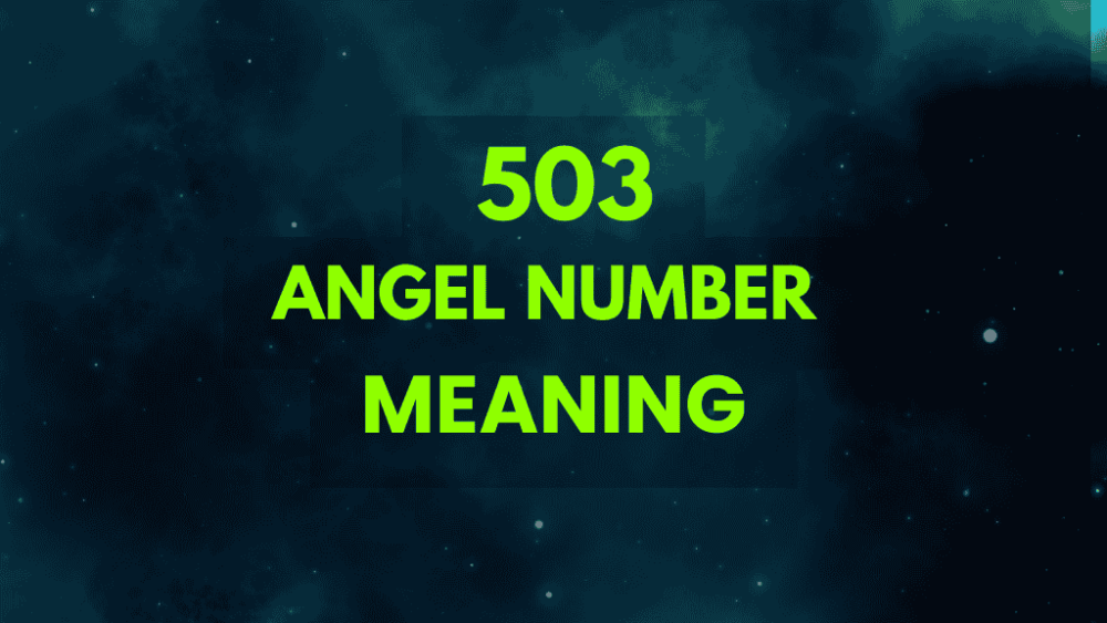 503 angel number