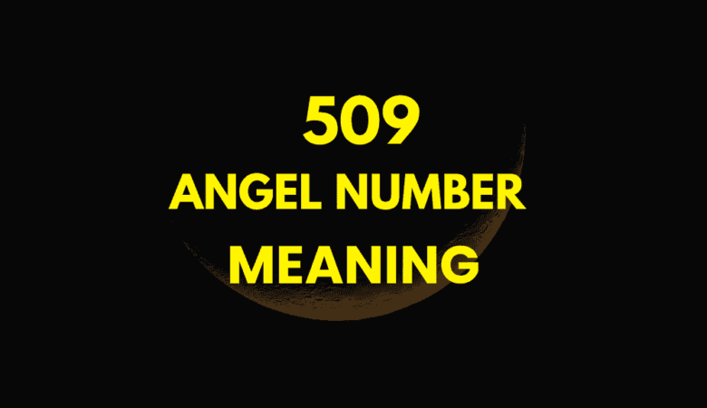 509 angel number