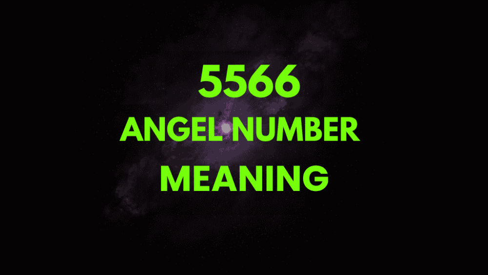 5566 angel number