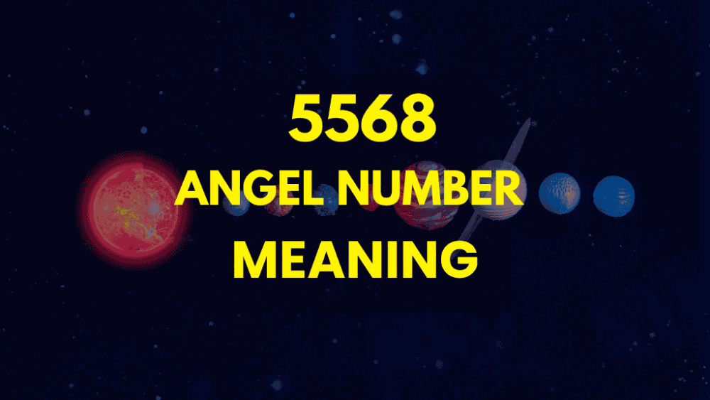 5568 angel number