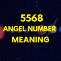 5568 angel number