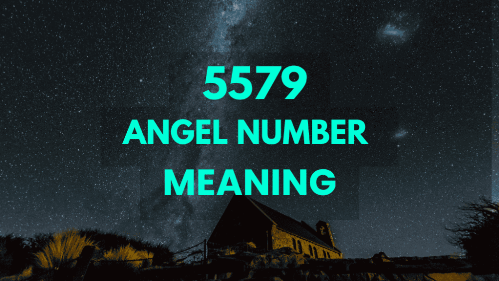 5579 angel number